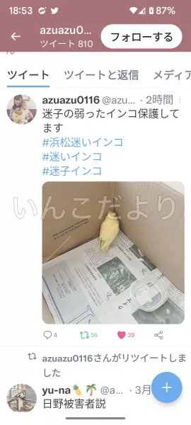 コメントの画像