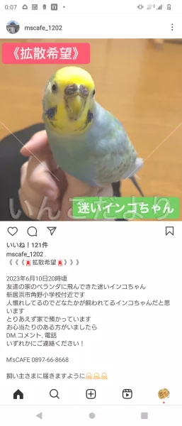 コメントの画像