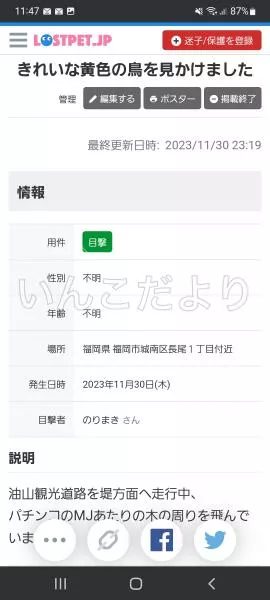 コメントの画像