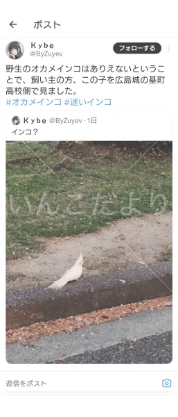 コメントの画像