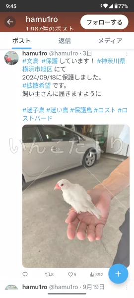 コメントの画像