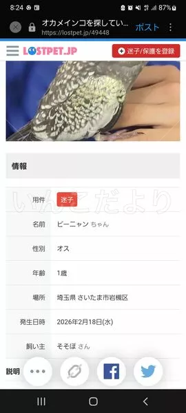 コメントの画像