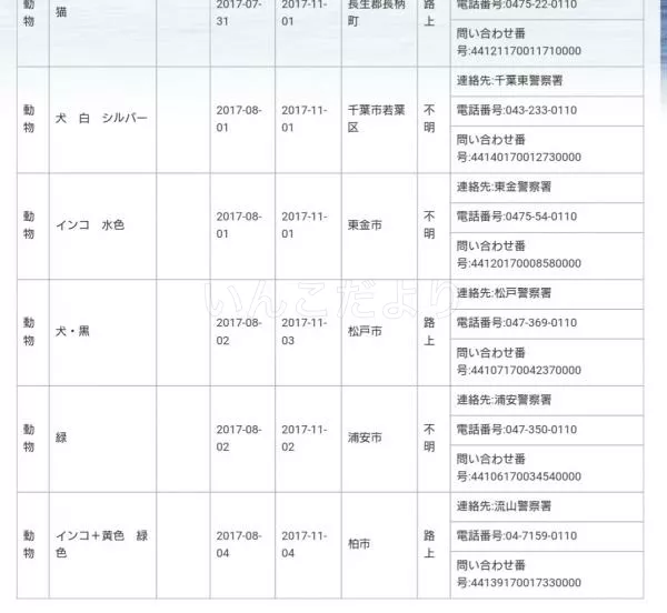 コメントの画像
