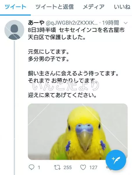 コメントの画像