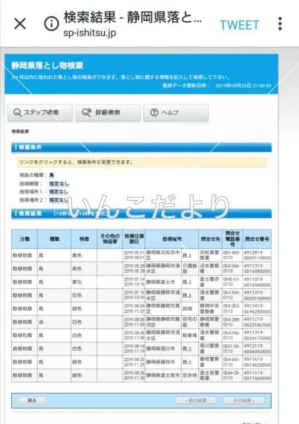 コメントの画像