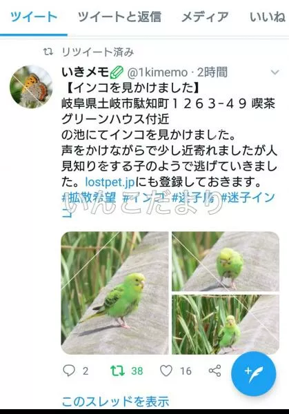 コメントの画像