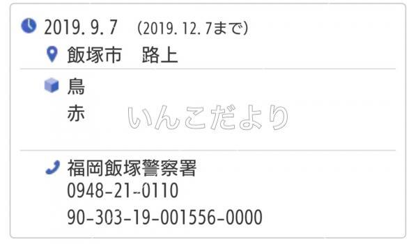 コメントの画像