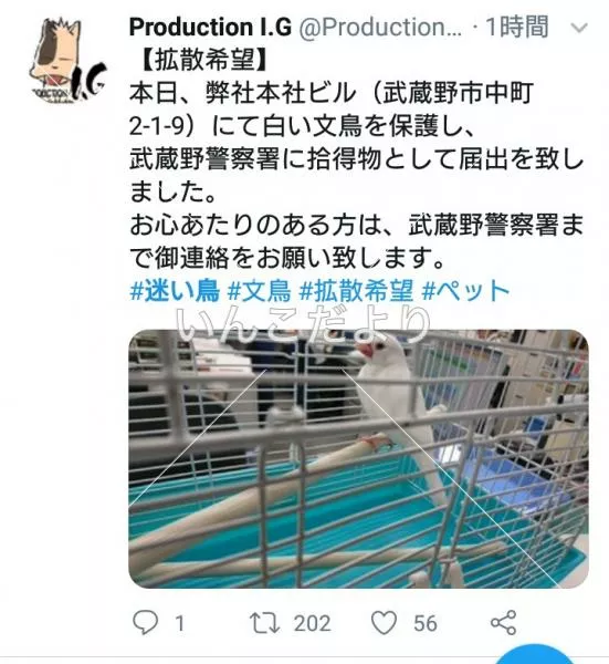 コメントの画像