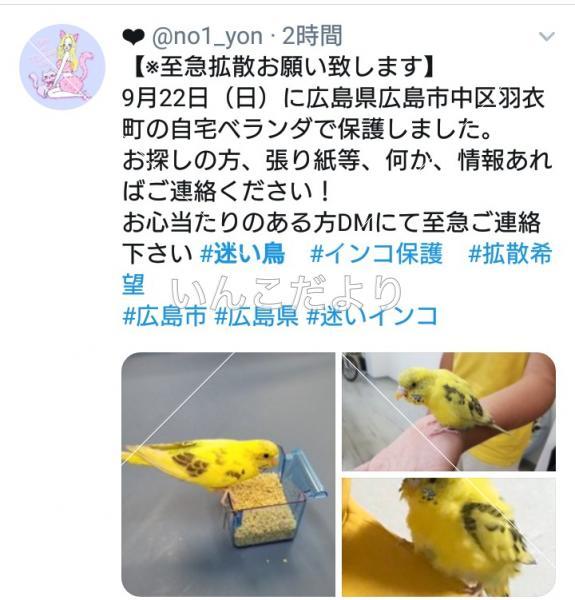 コメントの画像