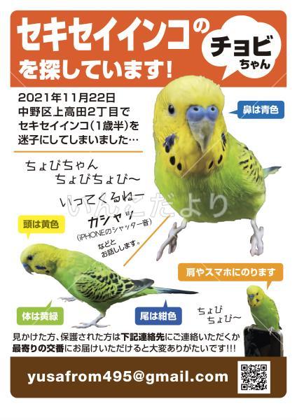 コメントの画像