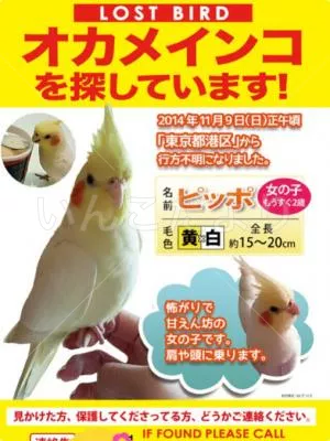 コメントの画像