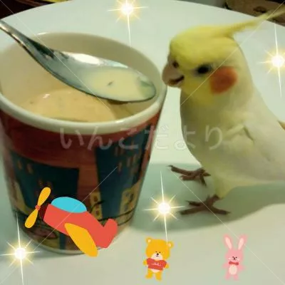 コメントの画像