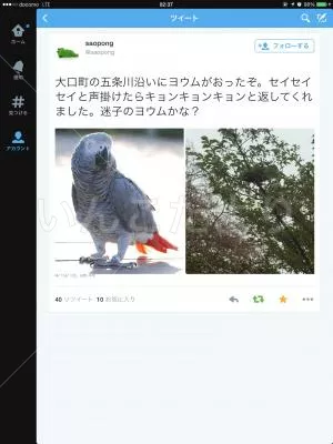 コメントの画像