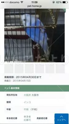 コメントの画像