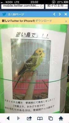 コメントの画像