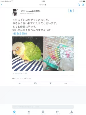 コメントの画像