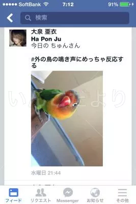 コメントの画像