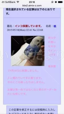 コメントの画像