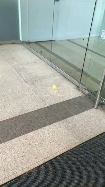 コメントの画像