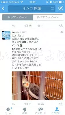 コメントの画像