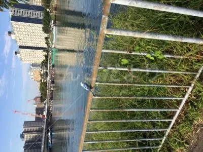 コメントの画像