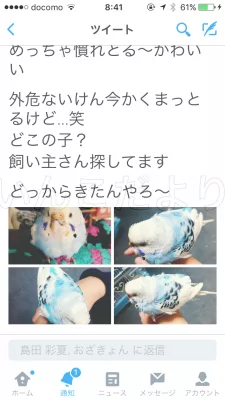 コメントの画像