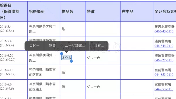 コメントの画像