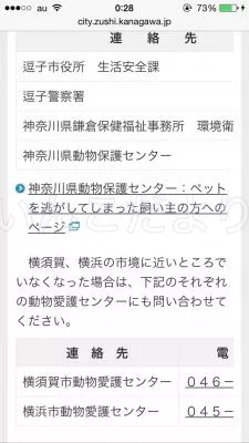 コメントの画像