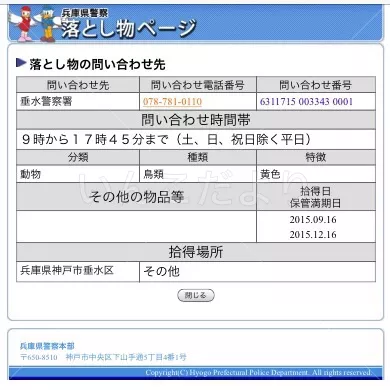 コメントの画像