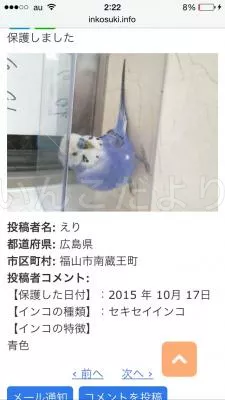 コメントの画像