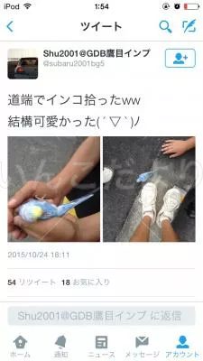 コメントの画像