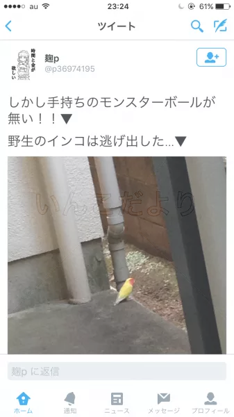 コメントの画像