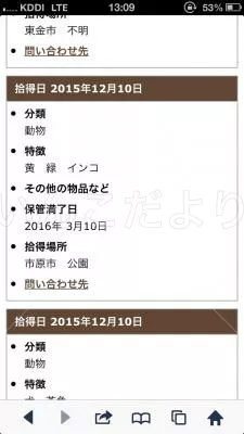 コメントの画像