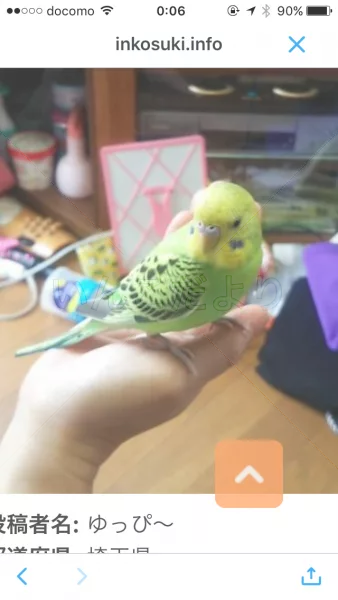 コメントの画像