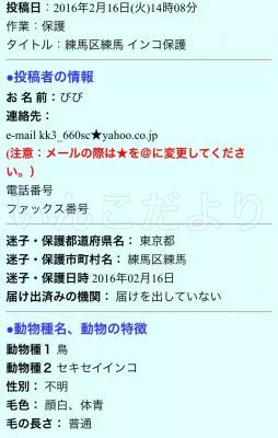 コメントの画像