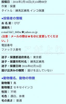 コメントの画像