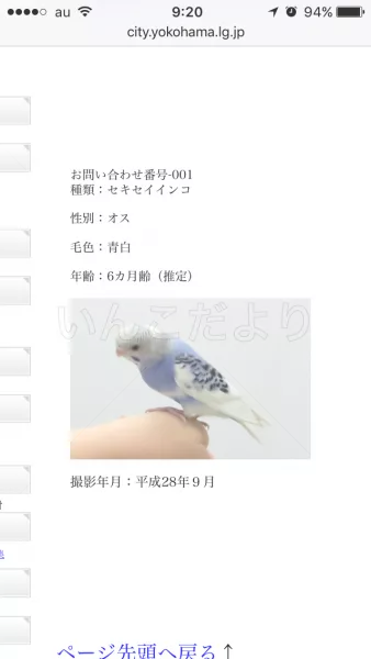 コメントの画像