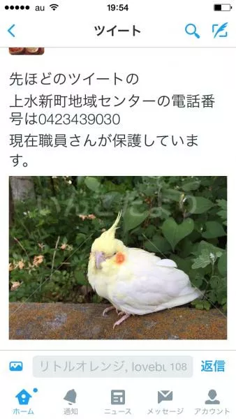 コメントの画像