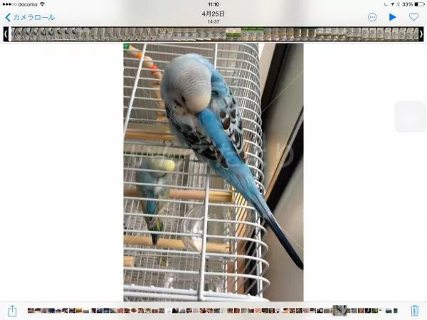 コメントの画像