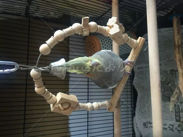 コメントの画像