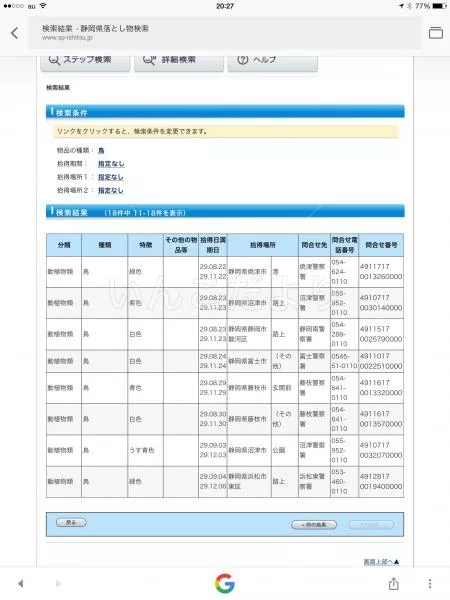 コメントの画像