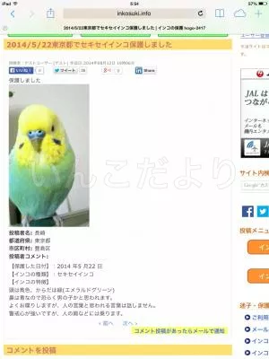 コメントの画像