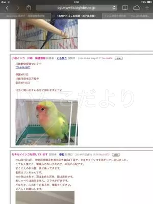 コメントの画像