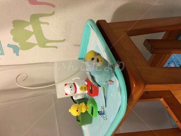 コメントの画像