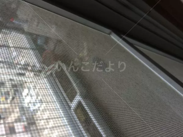 コメントの画像