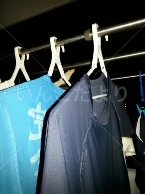 コメントの画像