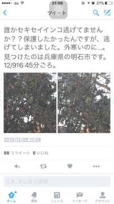 コメントの画像