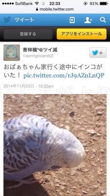 コメントの画像