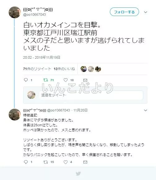 コメントの画像