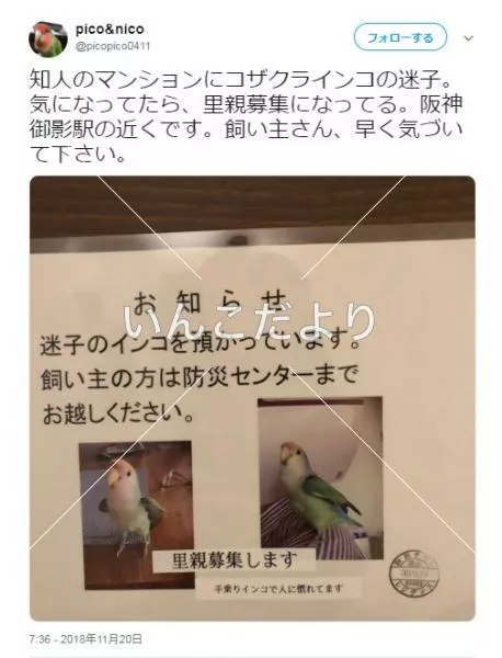 コメントの画像